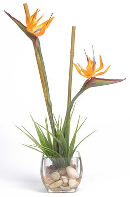 Tropical Bird of Paradise Liquid Illusion Silk Plant