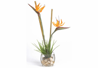 Tropical Bird of Paradise Liquid Illusion Silk Plant