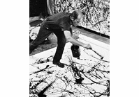 True Artists or Just Crazy People?