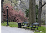 Urban Studies DVDs