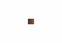 W&N Galeria Acrylics BURNT UMBER (60ml - 2oz)