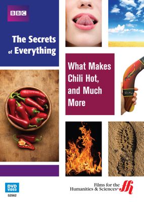 What Makes Chili Hot, and Much More: The Secrets of Everything (Enhanced DVD)