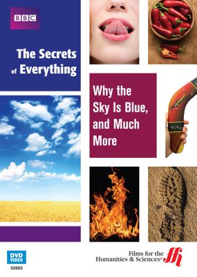 Why the Sky Is Blue, and Much More: The Secrets of Everything (Enhanced DVD)