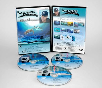 WYLAND ART STUDIO DVD 13 EPISODES SERIES 1