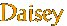 Daisey