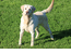 Polar @ 10 Years old!