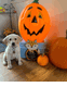 (Chrissy & Bert) 