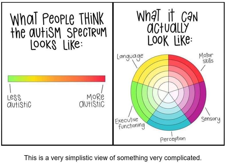 What is autism a complex definition