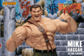 Final Fight - Mike Haggar Action Figure "Pre-order"