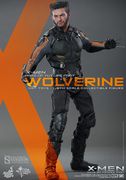 Hot Toys " X-Men: Days of Future Past"  Wolverine "Sold Out"