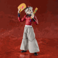 S.H.Figuarts Doma "Pre-order"