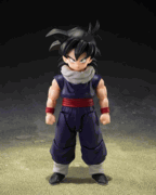 S.H.Figuarts Son Gohan < Z-Fighters > (Limited Edition < Z-Fighters > Group Base ver. A) "Pre-order" S.H.Figuarts Son Gohan < Z-Fighters > (Limited Edition < Z-Fighters > Group Base ver. A) "Pre-order"