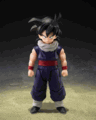 S.H.Figuarts Son Gohan < Z-Fighters > (Limited Edition < Z-Fighters > Group Base ver. A) "Pre-order"