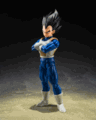 S.H.Figuarts Vegeta <Z Fighters> "Pre-order"