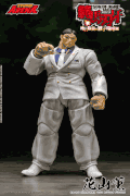 Storm Arena Kaoru Hanayam "Pre-order"