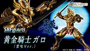 Tamashii Web Exclusive S.H.Figuarts Golden Knight Garo (Raiko Ver.) "Sold Out"