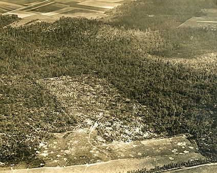 Aerial View of Belleau Woods in France WWI Photo Print