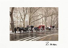 Central Park Carriages in Snow - Personalized NYC Christmas Cards