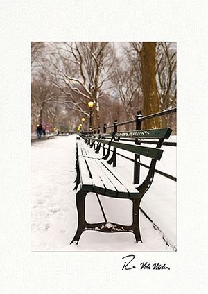 Central Park Snowy Bench - NYC Individual Fine Art Winter Holiday Cards
