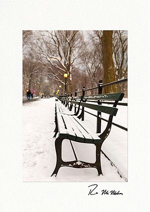 Central Park Snowy Bench - NYC Personalized Winter Holiday Cards