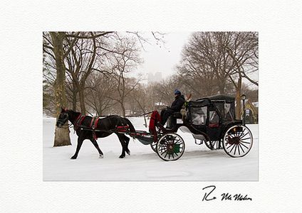 Central Park Winter Carriage Ride Boxed Holiday Cards