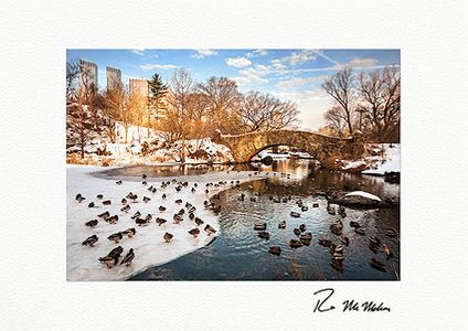 Central Park Winter Thaw New York City Individual Fine Art Christmas Cards