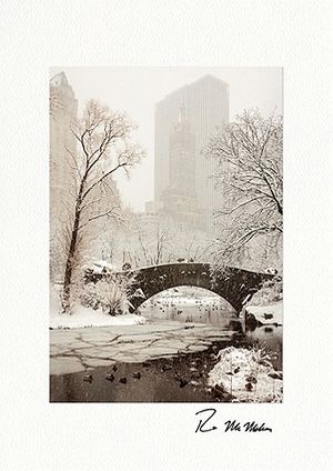 Central Park Winter Wonder New York City Boxed Fine Art Christmas Cards