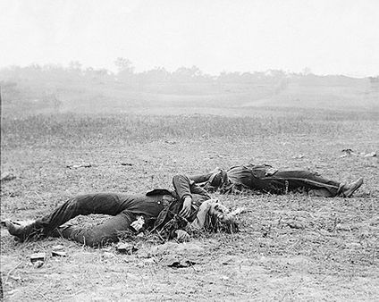 Civil War Confederate Casualties Antietam Photo Print