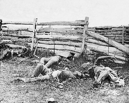 Civil War Dead at Battle of Antietam Photo Print