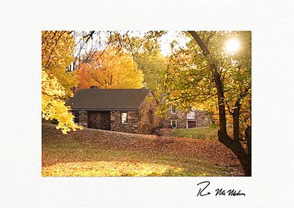Fall Colors Individual Thanksgiving Cards