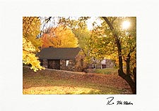 Fall Colors Personalized Thanksgiving Cards