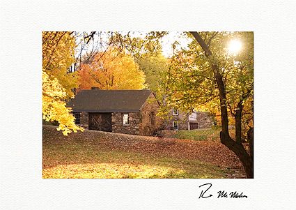 Fall Colors Personalized Thanksgiving Cards