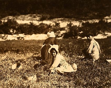 Fruit Pickers Child Labor Lewis Hine 1911 Photo Print