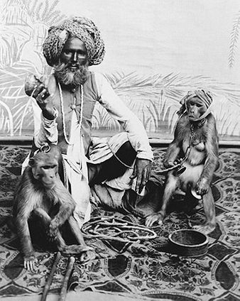 Indian Fakir Man & Monkeys India 1880 Photo Print