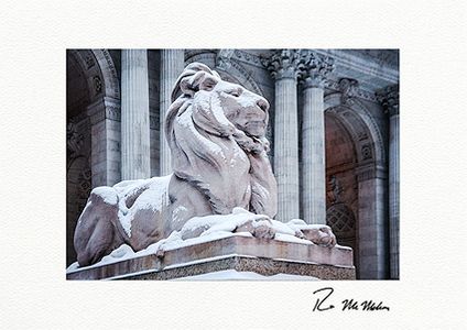 New York Public Library Lion Boxed Fine Art New York City Christmas Cards