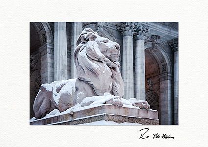 New York Public Library Lion Personalized New York City Christmas Cards