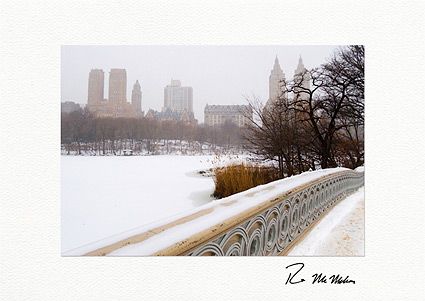 Personalized Central Park Winter Holiday Cards