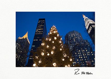 Personalized Madison Avenue Madison Square Park NYC Christmas Cards