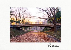 Pine Bank Bridge Autumn Personalized Central Park Greeting Cards