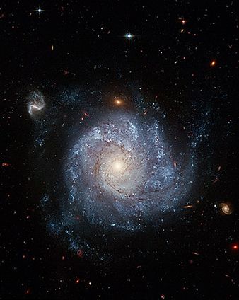 Pinwheel Shaped Spiral Galaxy Hubble Space Telescope Photo Print