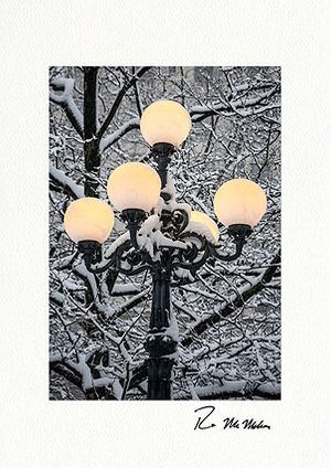 Snow Covered Lombard Lamp, Central Park Boxed Fine Art Christmas Cards
