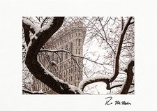 The Flatiron Building Snowy Detail - NYC Personalized Holiday Cards
