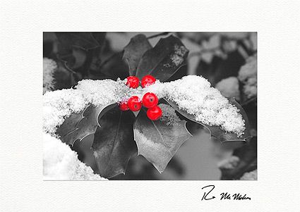 Winter Holly Personalized Christmas  Cards