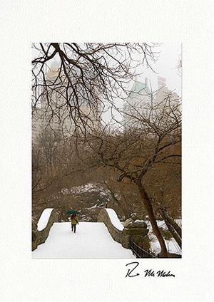 Winter Stroll Through Central Park Boxed Holiday Cards