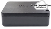 Cisco Analog Telephone Adapters (ATA) Compatible with Avaya Cloud Office