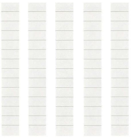 DSS 4450 Direct Station Selector Labels (10 labels)