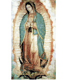 Our Lady of Guadalupe Laminated Holy Card with Prayer