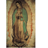 Our Lady of Guadalupe Poster - Virgen de Guadalupe Poster - Medium