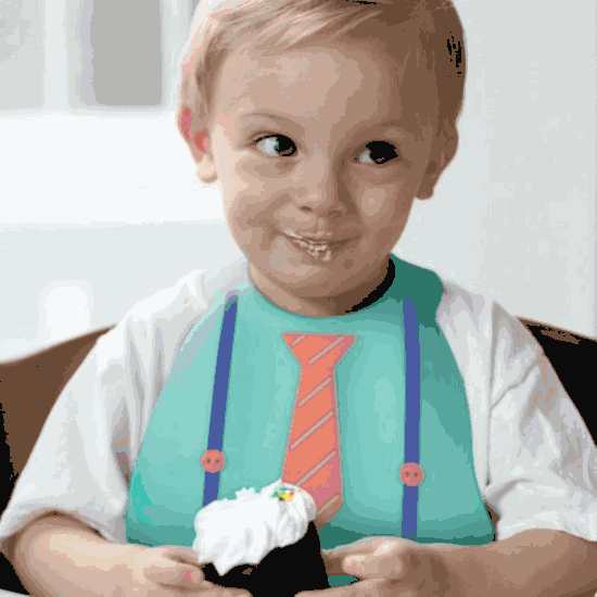 Make My Day Soft Silicone Crum Catcher Cute Baby Bibs BPA Free