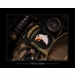 101st Airborne Division -101st LRRPS - Giclee Print
